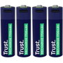 Trust Pack de 4 pilas AA recargables 25631 con carga USB-C
